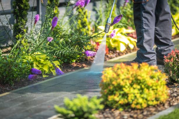 Best Pool Deck Cleaning  in Lyndhurst, VA