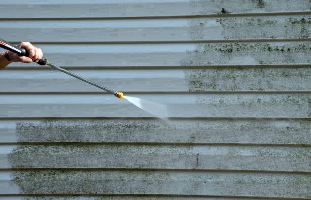 Best Animal Enclosure Cleaning  in Lyndhurst, VA
