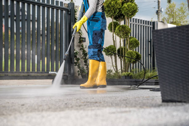 Best Driveway Pressure Washing  in Lyndhurst, VA